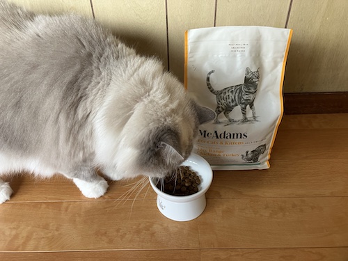マックアダムズキャットフードと愛猫
