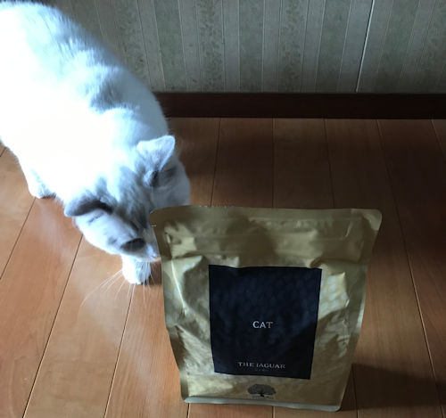ジャガーキャットフードと我が家の愛猫3