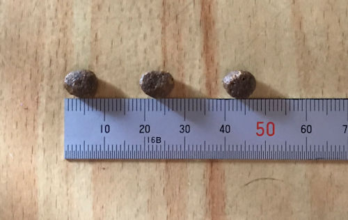 グランツキャットフード（リニューアル前）の粒の大きさ