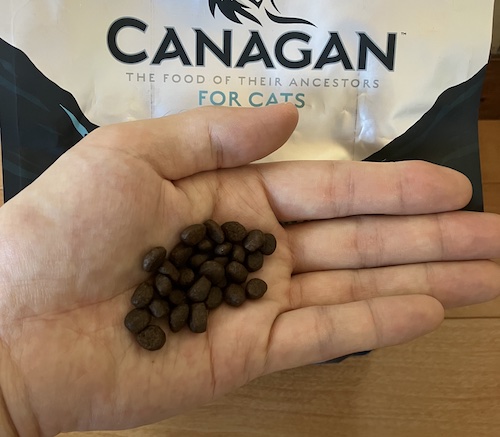 カナガンキャットフード サーモンの粒