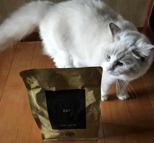 ジャガーキャットフードと我が家の愛猫1