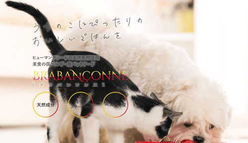 ブラバンソンヌキャットフードのイメージ画像1