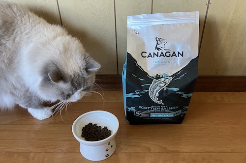 カナガンキャットフード サーモンと愛猫