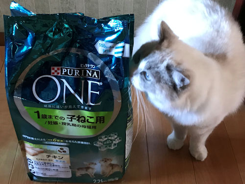 ピュリナワンキャットフード（ドライ）と愛猫1