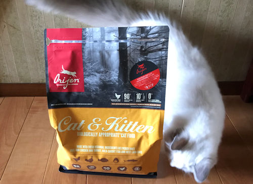 オリジンキャットフードと愛猫2