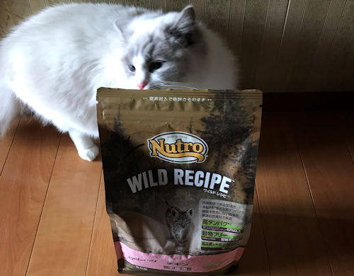 ニュートロ ワイルドレシピキャットフードと愛猫1