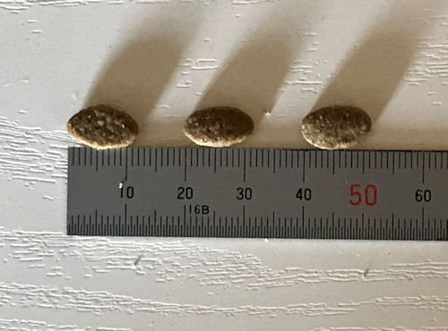 ナチュラルチョイスキャットフードの粒の大きさ