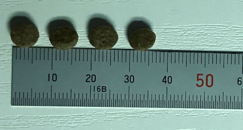 ニュートロ ワイルドレシピキャットフードの粒の大きさ