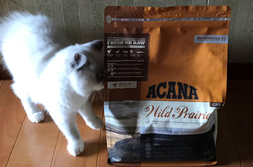アカナキャットフードと愛猫2