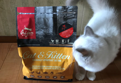 オリジンキャットフードと愛猫1