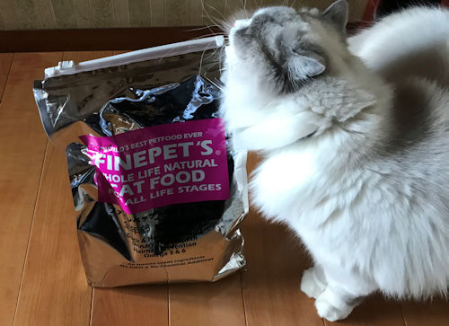ファインペッツキャットフードと愛猫1
