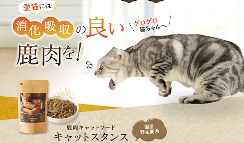 キャットスタンスのイメージ画像1