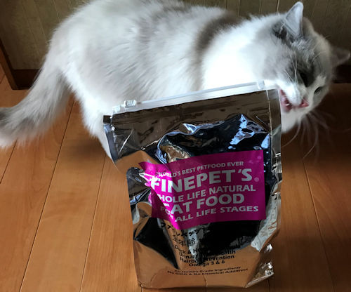 ファインペッツキャットフードと愛猫2