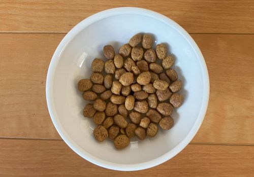 プラチナムキャットフードの盛り付け画像