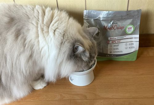 プラチナムキャットフードと愛猫2