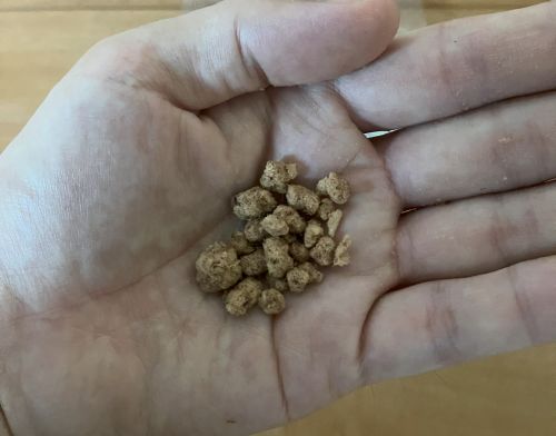 パウズグリーンデリ（猫用フリーズドライ）の粒1