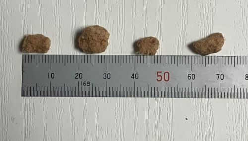 パウズグリーンデリ（猫用フリーズドライ）の粒の大きさ