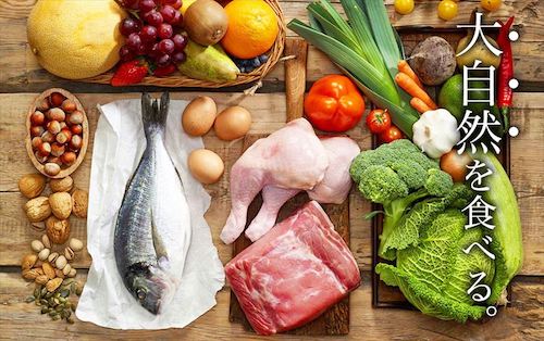 みらいのドッグフードの原材料画像