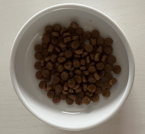 サイエンスダイエットドッグフードの盛り付け画像