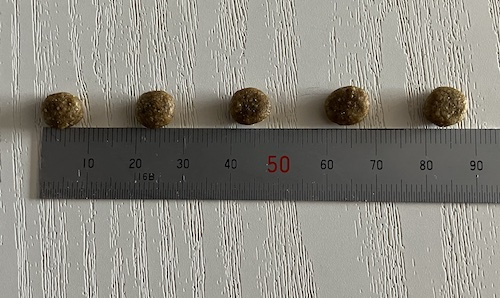 ソルビダドッグフードの粒の大きさ