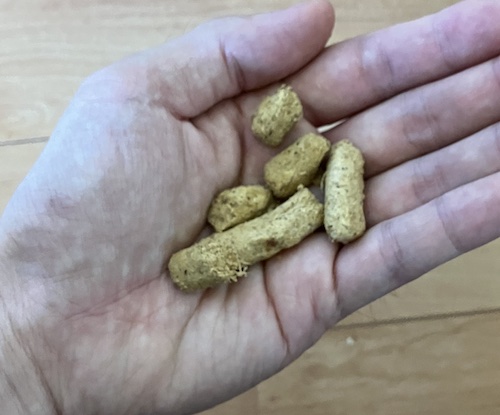 K9ナチュラル(犬用)を手に乗せた画像