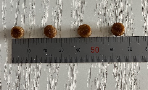 サイエンスダイエットドッグフードの粒の大きさ