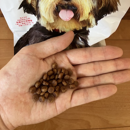 サイエンスダイエットドッグフードの粒