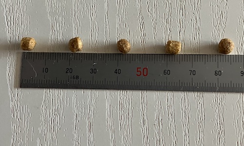 ウェルケアドッグフードの粒の大きさ