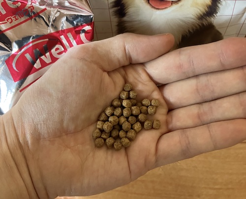 ウェルケアドッグフードの粒