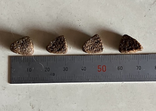 ネルソンズドッグフードの粒の大きさ