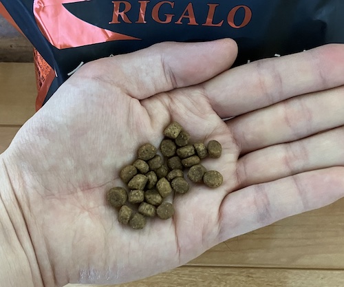 リガロドッグフードの粒