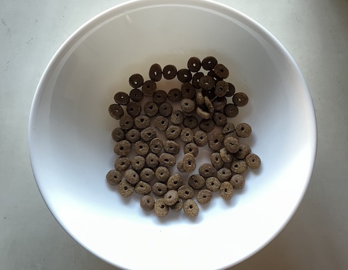 カナガンドッグフードの盛り付け画像