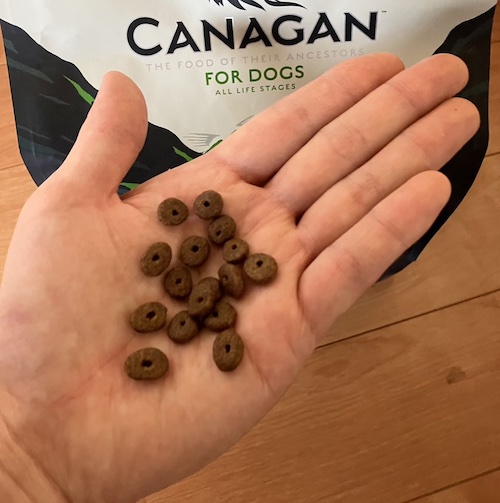 カナガンドッグフードの粒