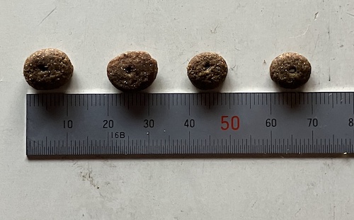 モグワンドッグフードの粒の大きさ