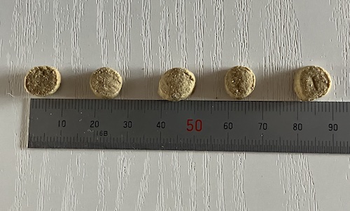 このこのごはんドッグフードの粒の大きさ