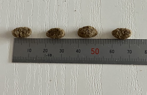 シュプレモドッグフードの粒の大きさ