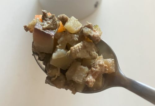 WelMo（ウェルモ）ドッグフードをスプーンですくった画像