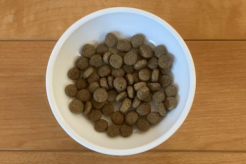 グランツドッグフード フィッシュ&サーモンの盛り付け画像1