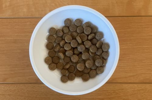 グランツドッグフード チキン&ダックの盛り付け画像1