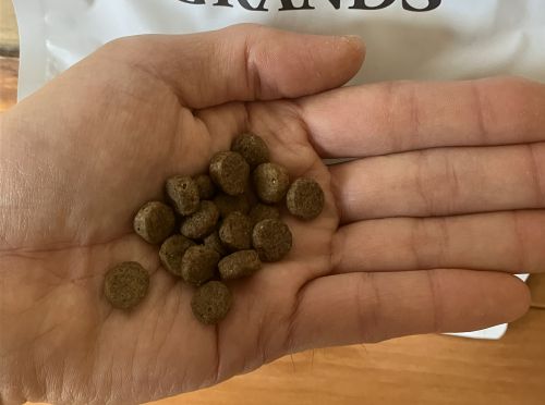 グランツドッグフード フィッシュ&サーモンの粒1