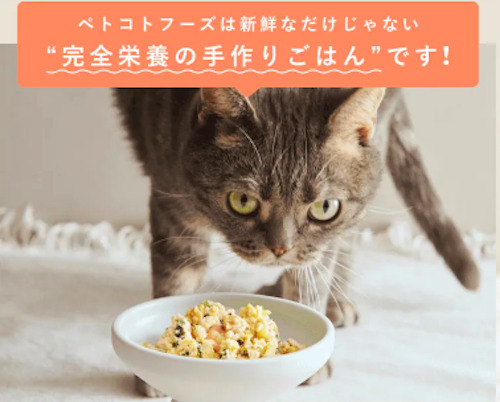 ペトコトフーズキャットフードのイメージ画像3